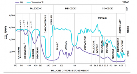 Global Temperature and Atmospheric CO2 Concentration over the Past 600 Million Years