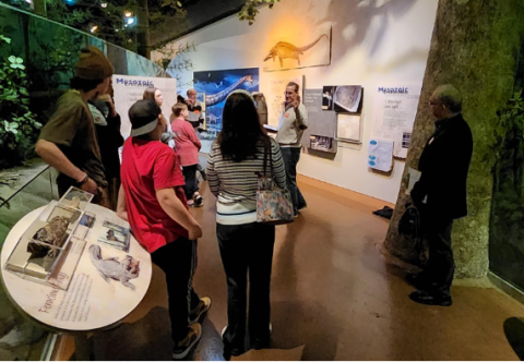 Engineer Paul Harry discusses transitional forms in front of the Archaeopteryx exhibit.